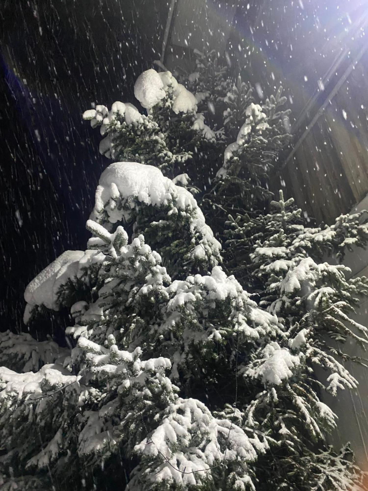 奥伯普兰彻霍夫山区马厩公寓 布列瑟农 外观 照片