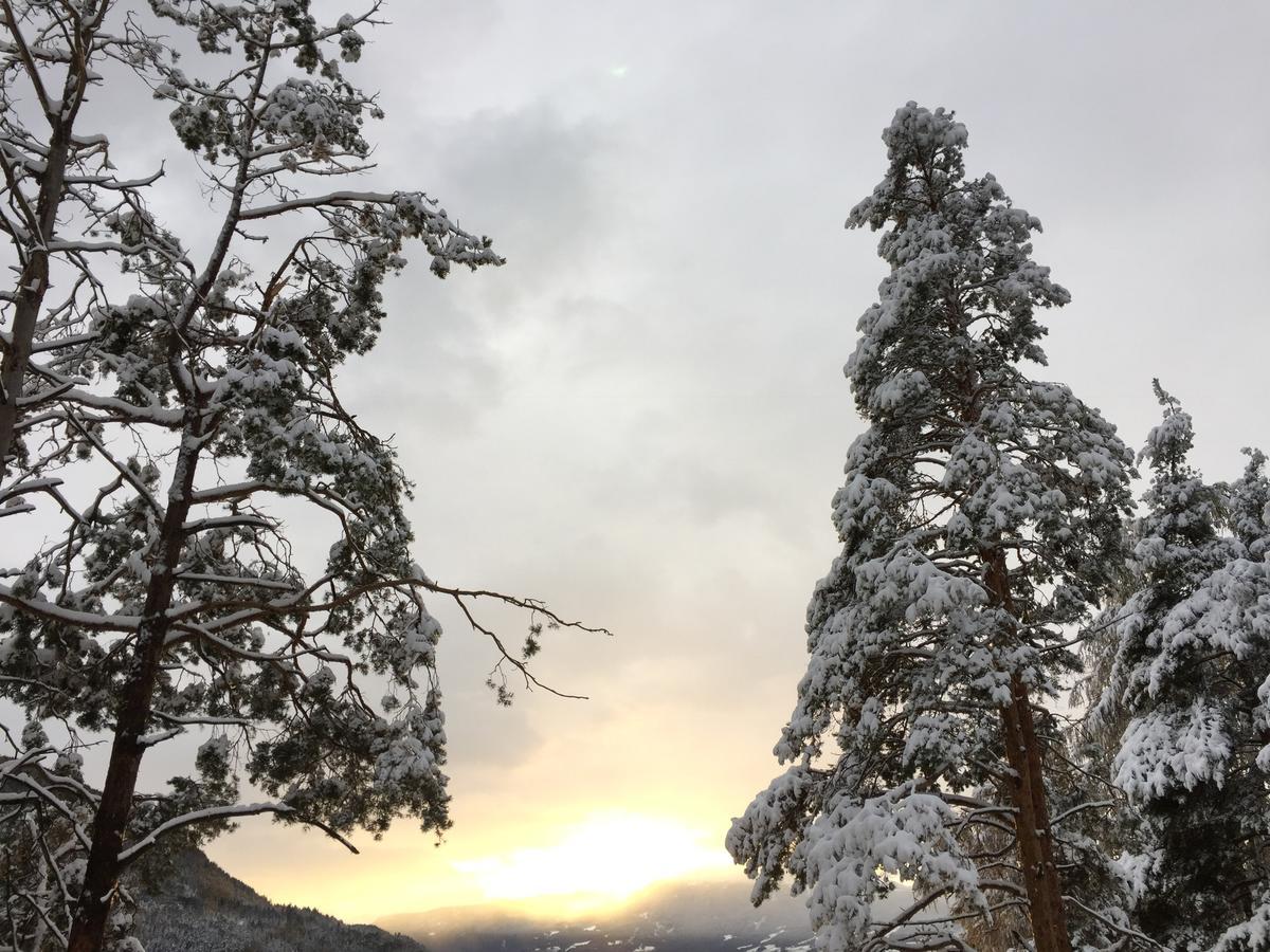 奥伯普兰彻霍夫山区马厩公寓 布列瑟农 外观 照片